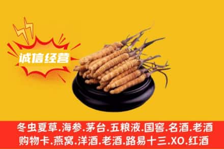 株洲回收冬虫夏草